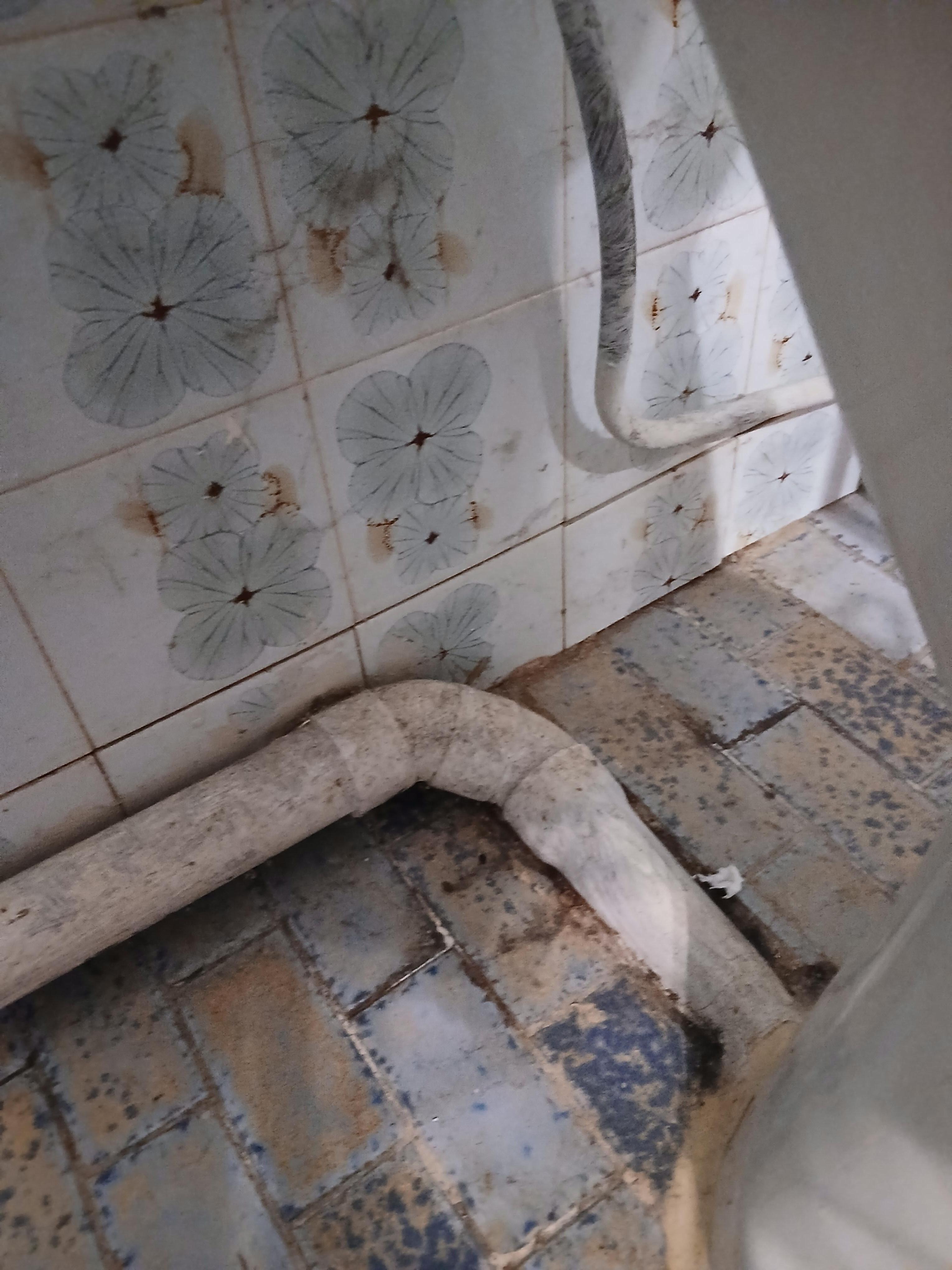 Voici une photo du sol de la salle de bain , encore j'ai envie de dire 