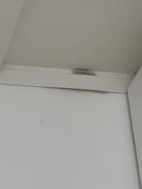 Black mold at ceiling in the kitchen