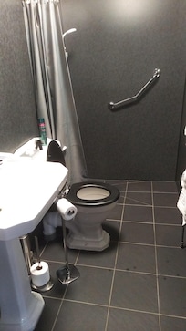 The wet room