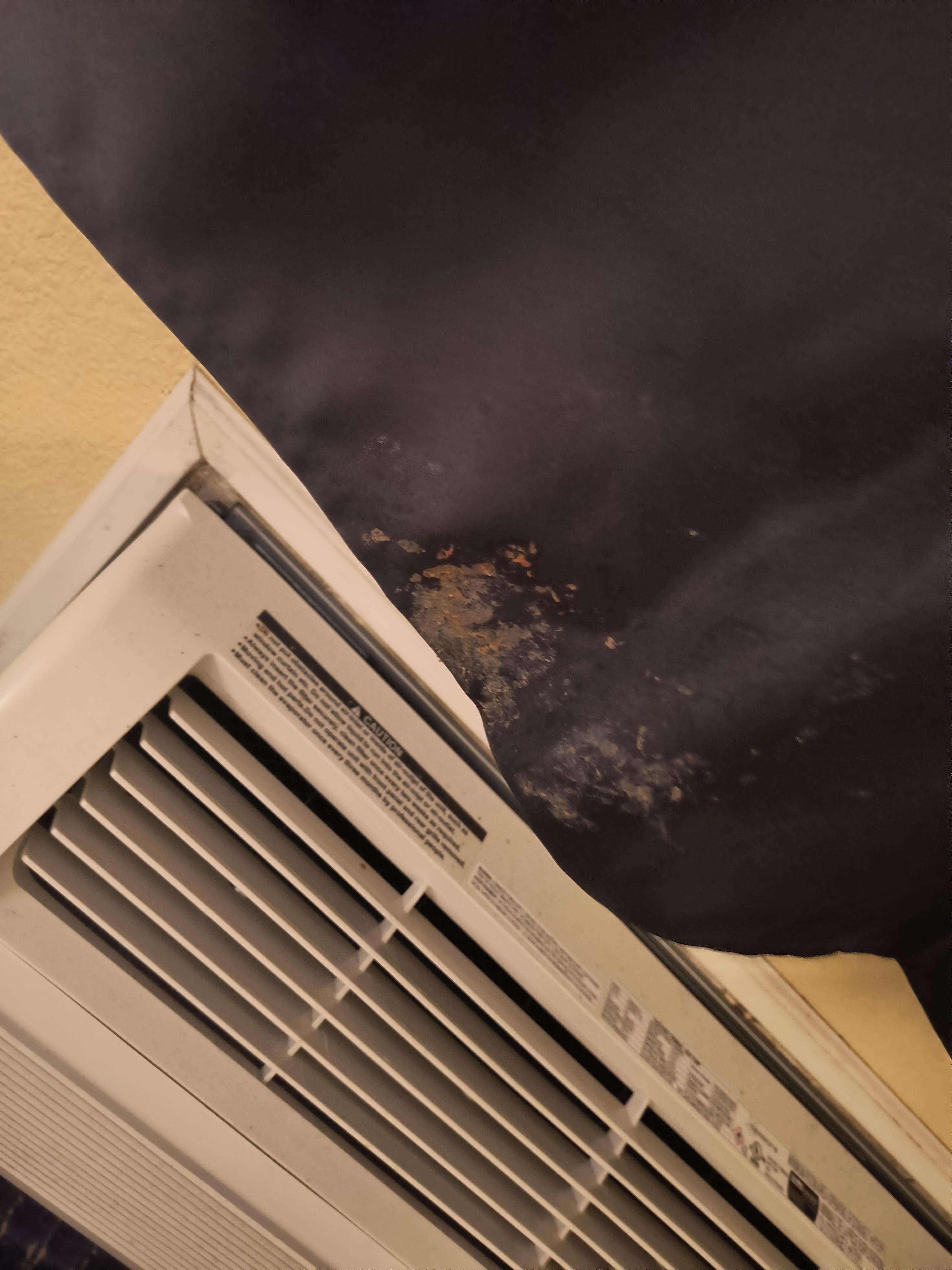 what appears to be dried vomit on the curtains