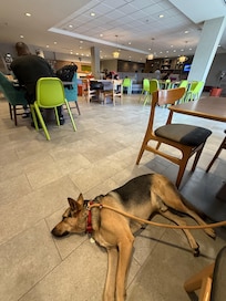 Lobby/breakfast area