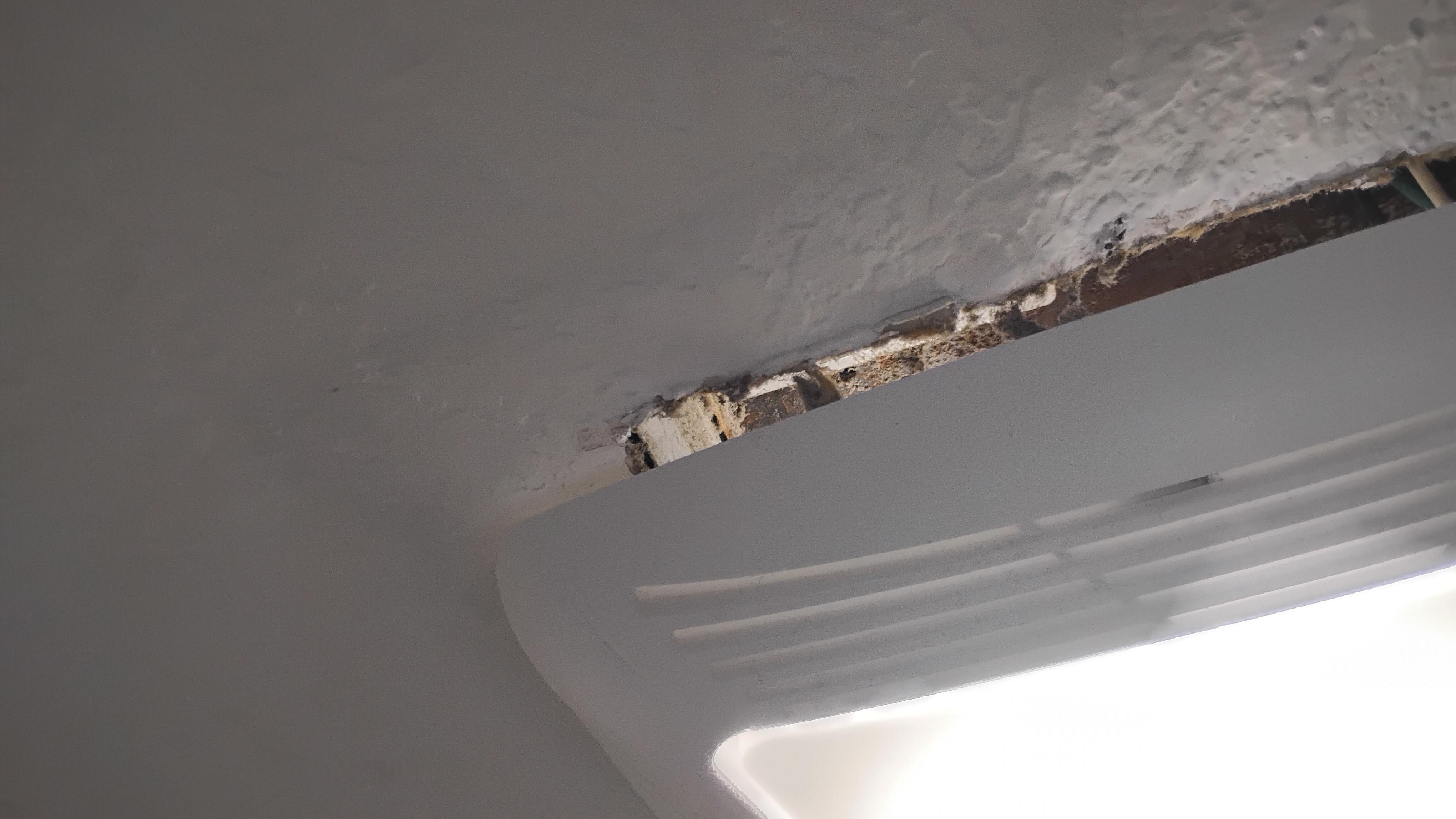 Bathroom light fixture