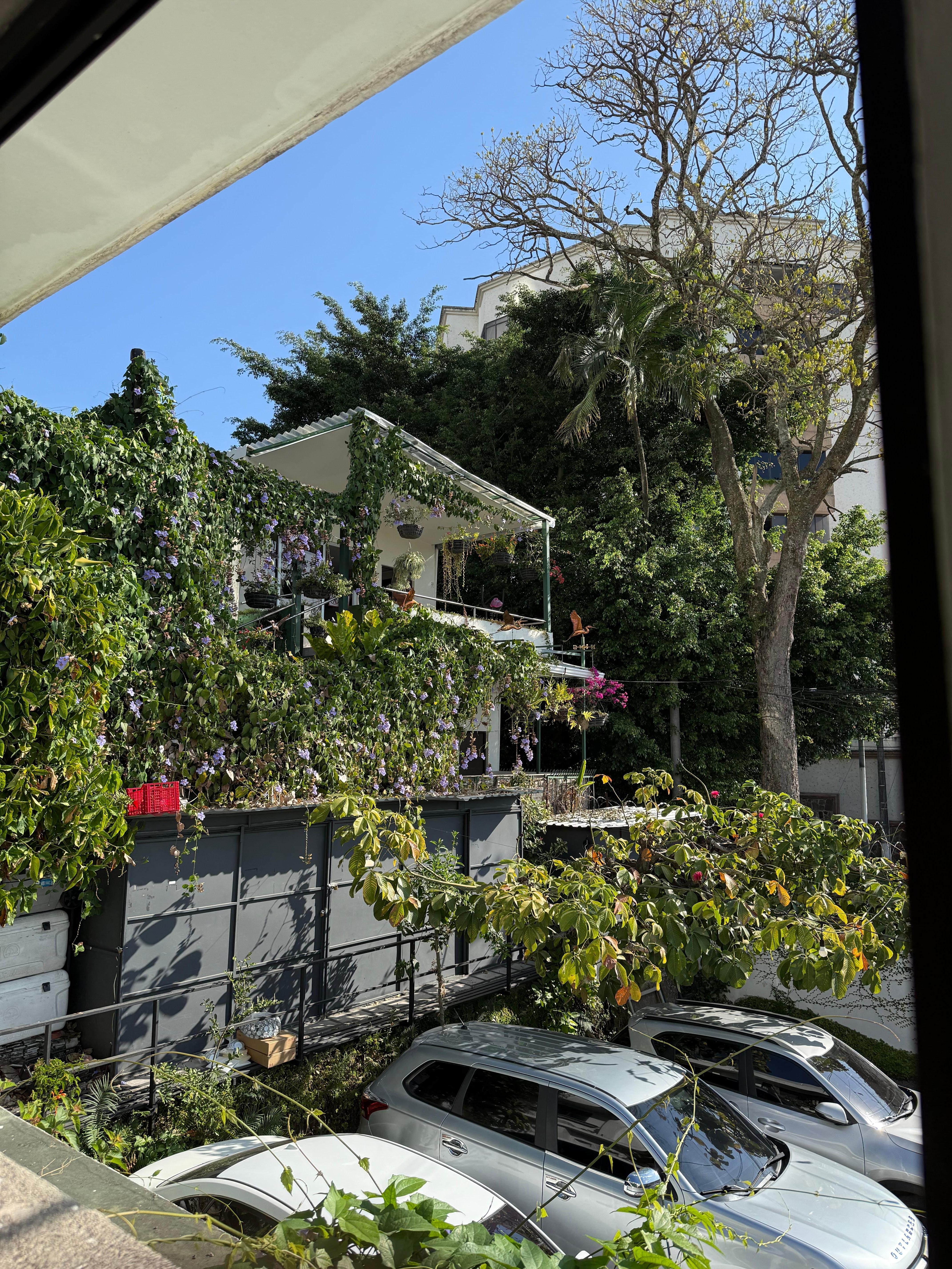 Window for bird watching 