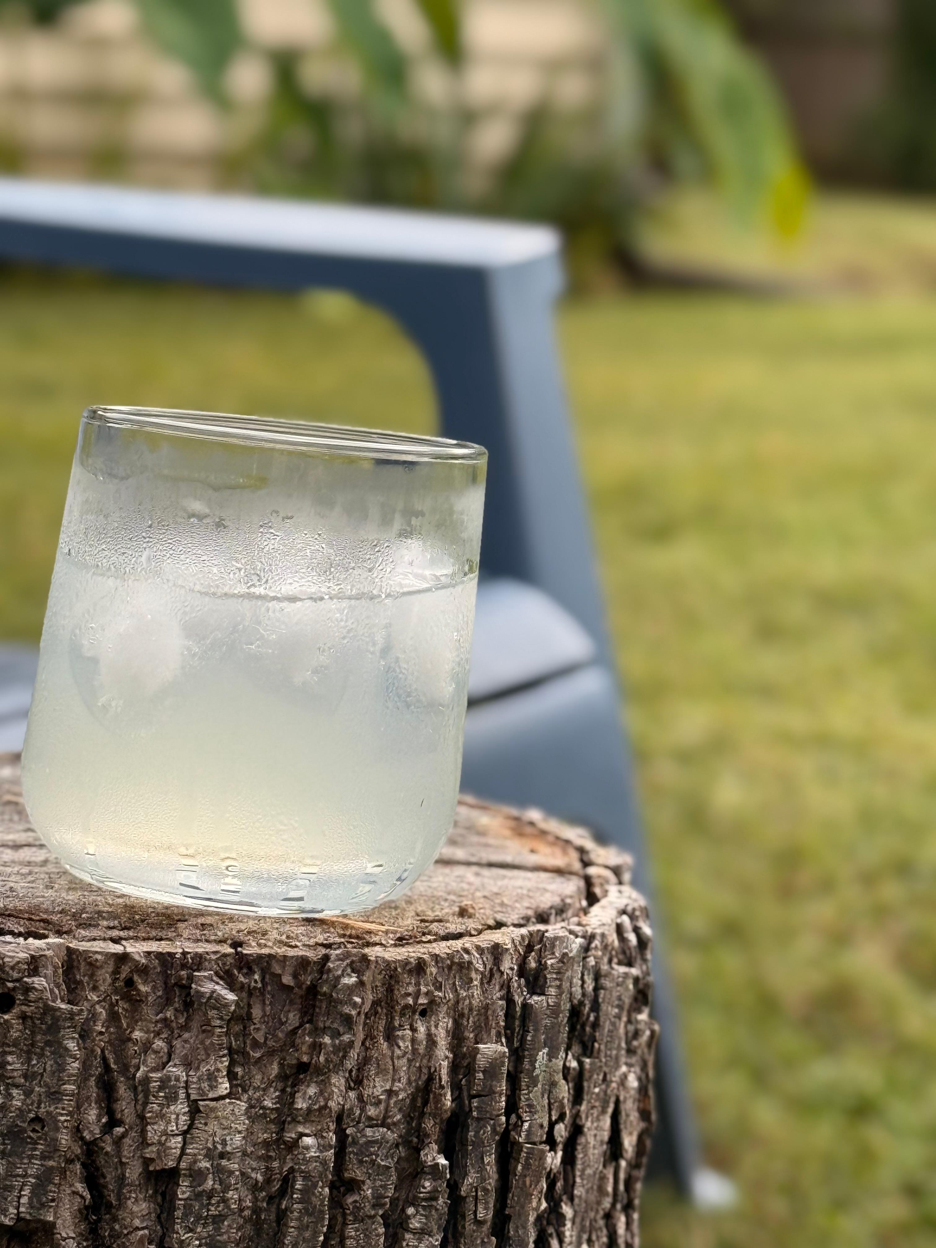 Peaceful moments in the private backyard while the dogs chased a ball 