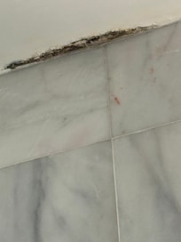 Ladies and gentlemen here’s the MOLD…