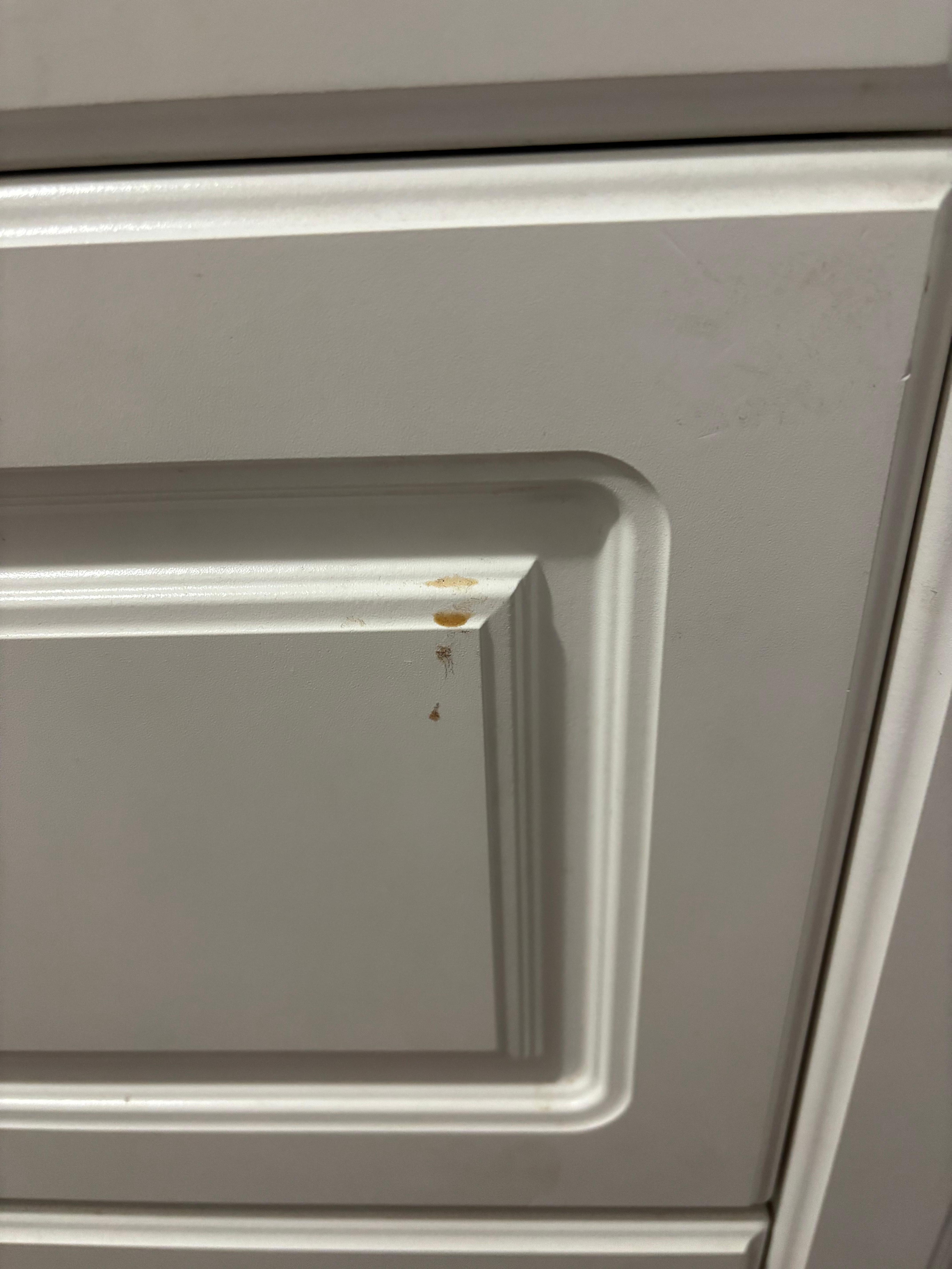 Spills not cleaned up on cabinets