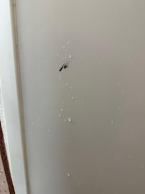 Residue from previous tenant