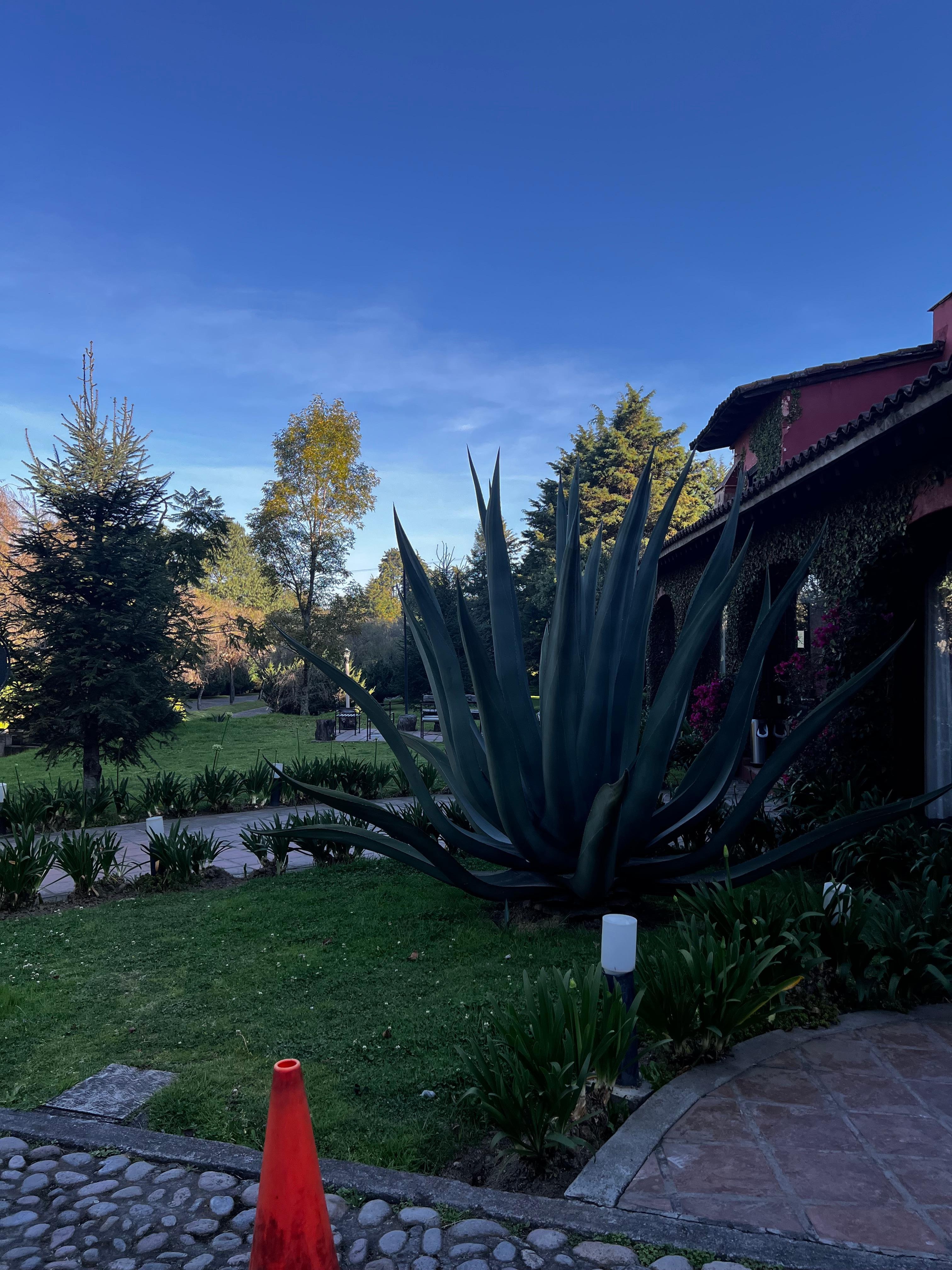 Side view of main entrance 