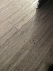 Floors in room when checked in.