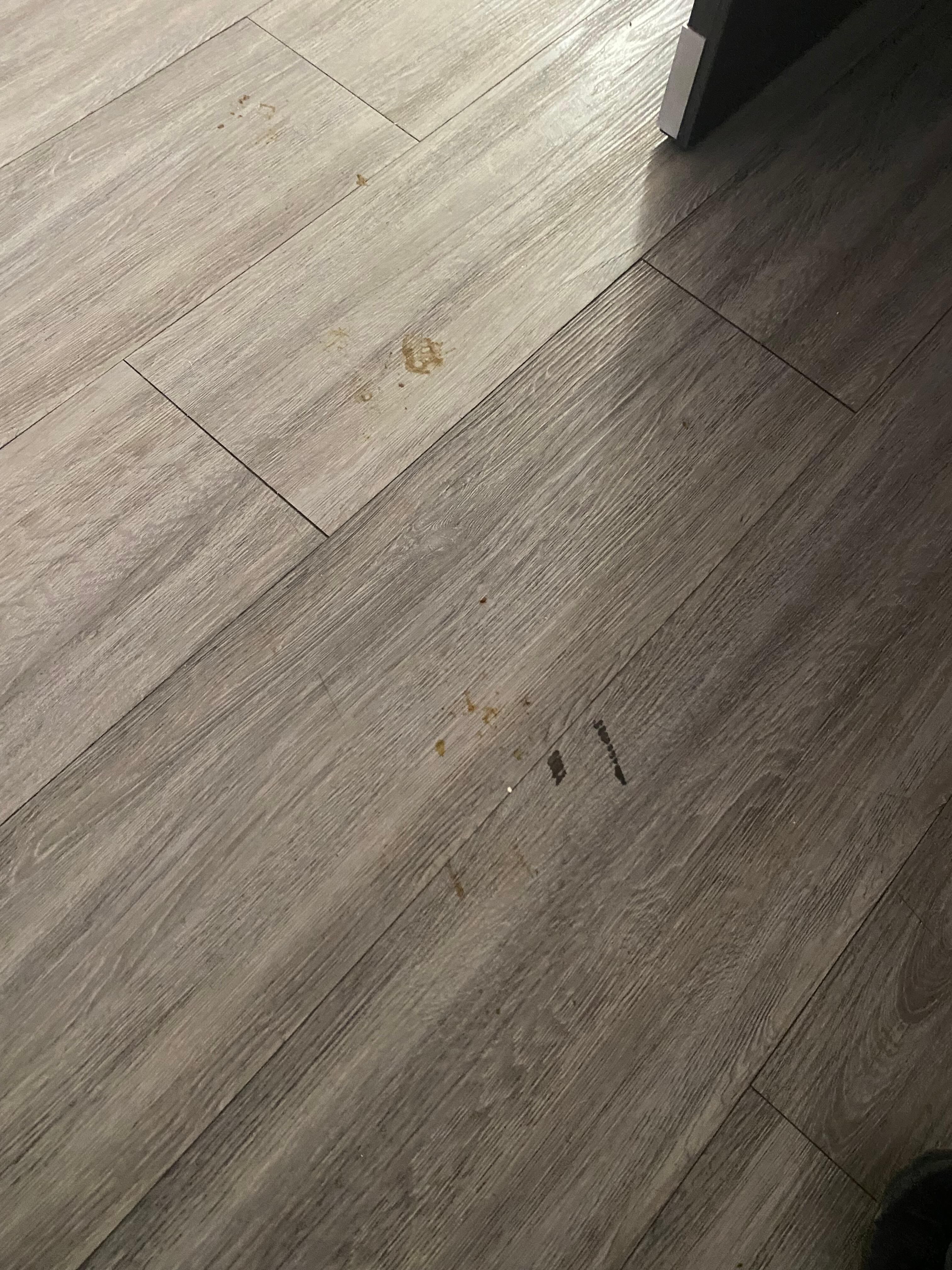 Floors in room when checked in. 