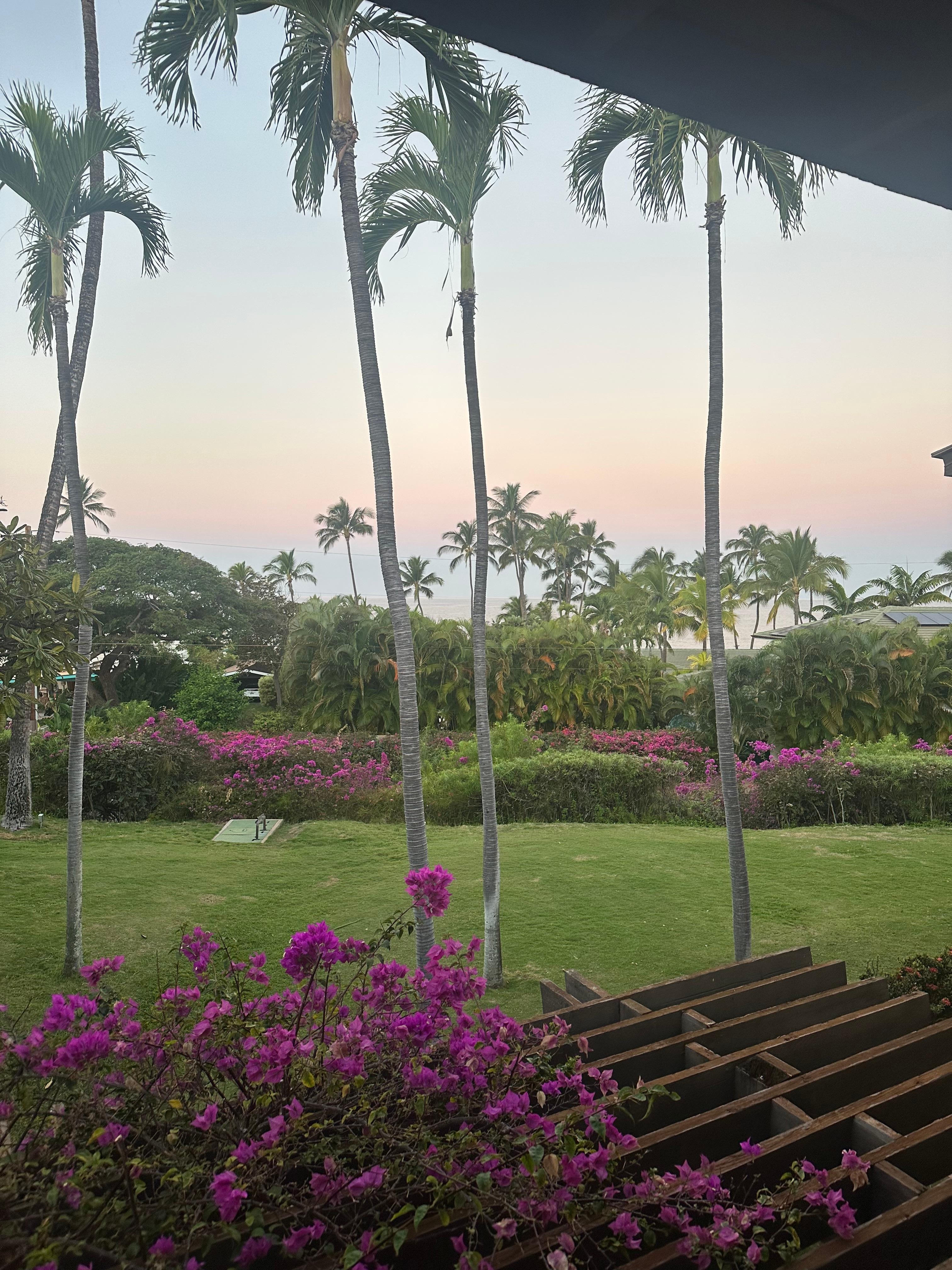View from the lanai