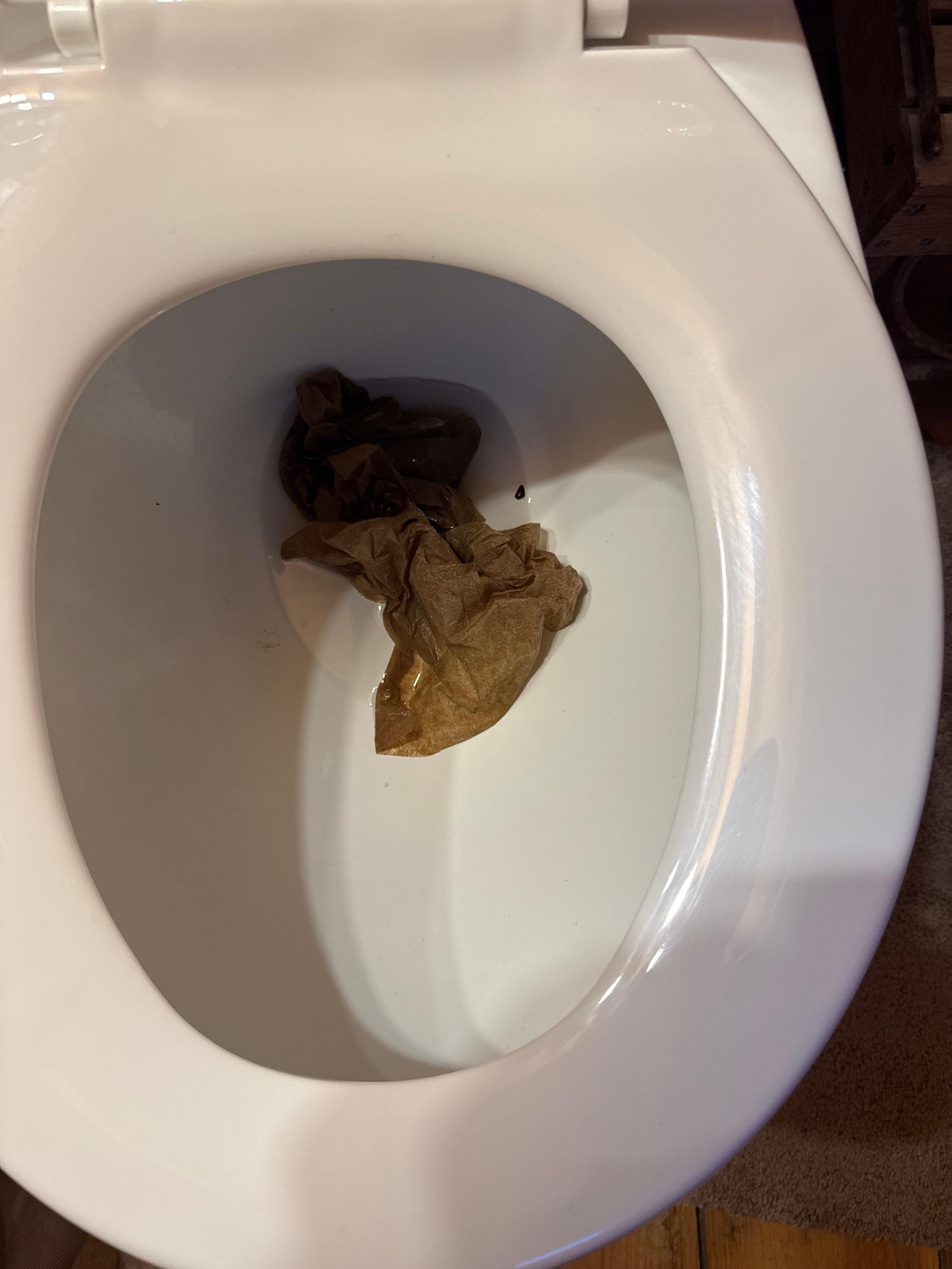 Paper towels in toilet that had to get out
