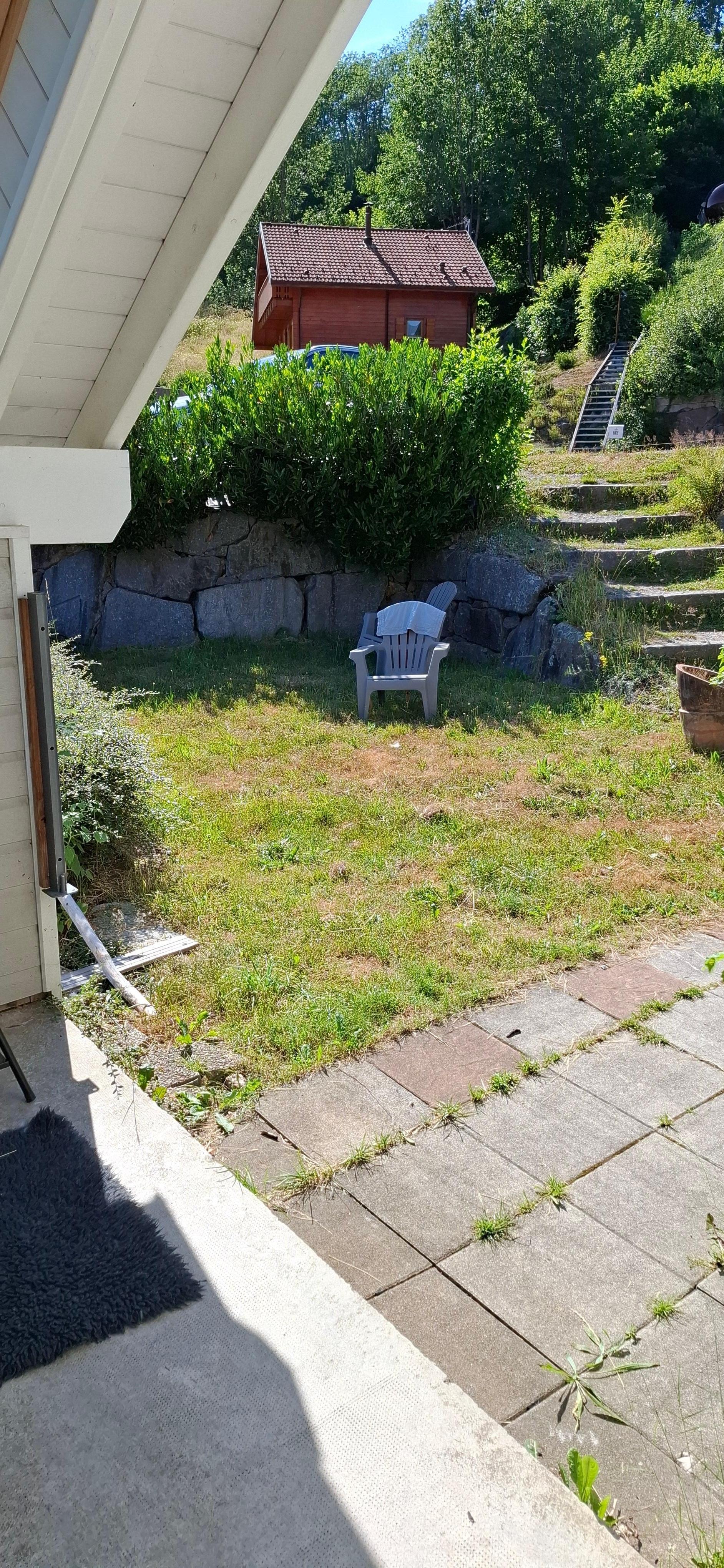 verwahrloster Garten