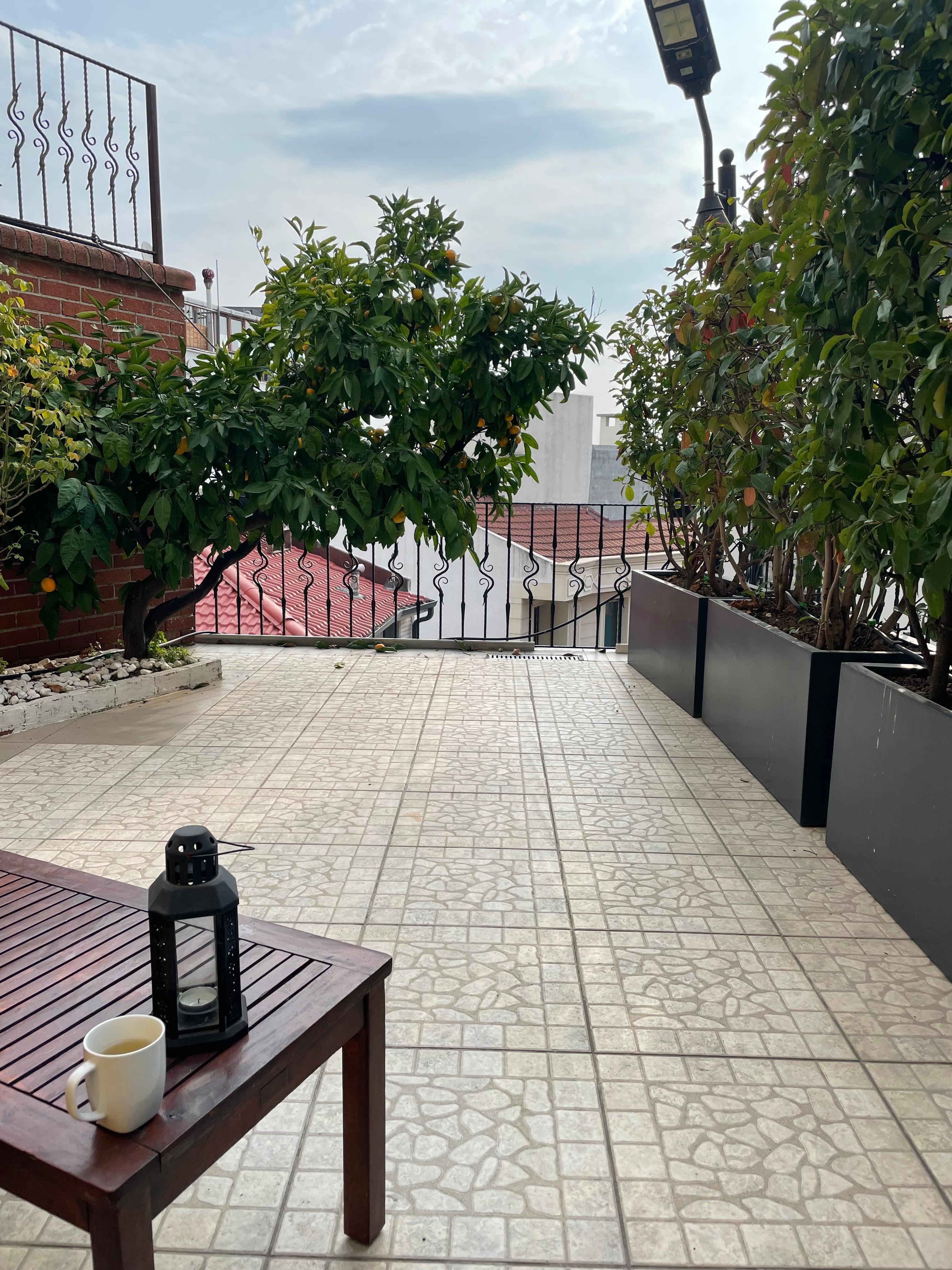 テラスからは海が少し見えます。