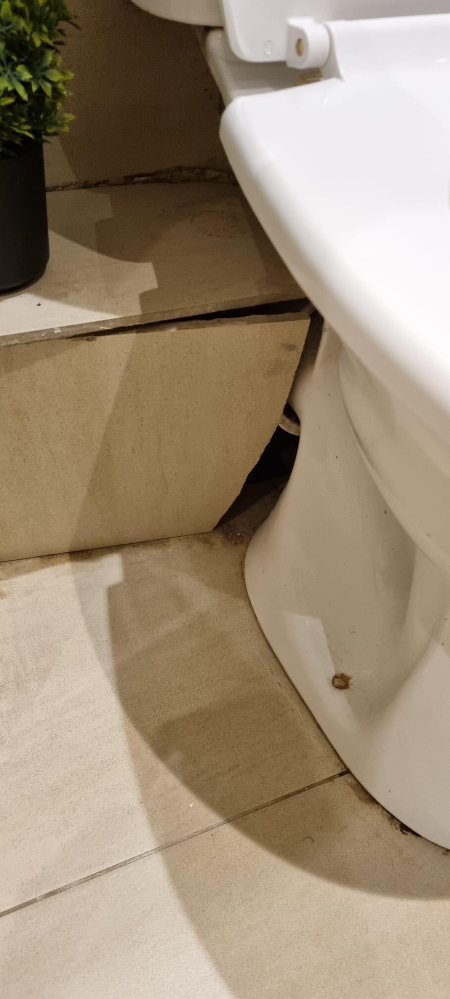 Area around the toilet