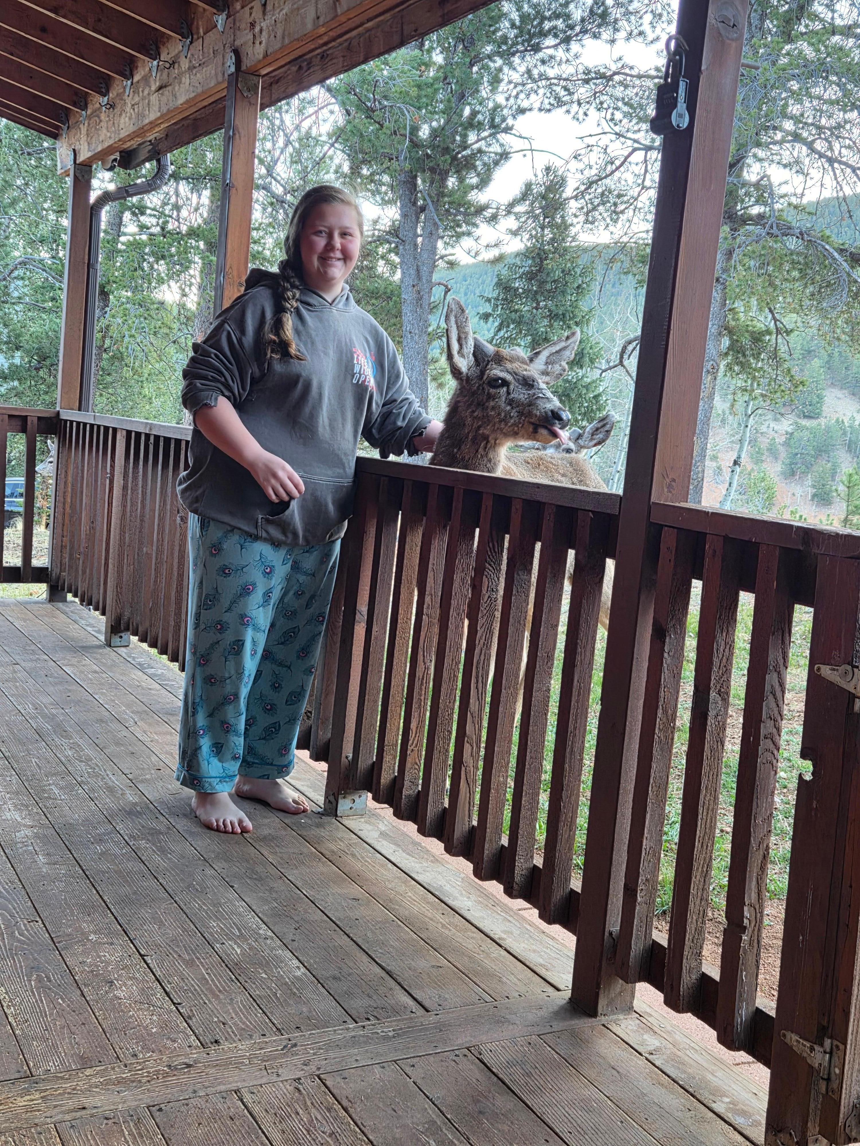 The deer came to say good morning!