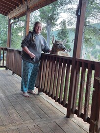 The deer came to say good morning!