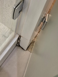 Mould around the room