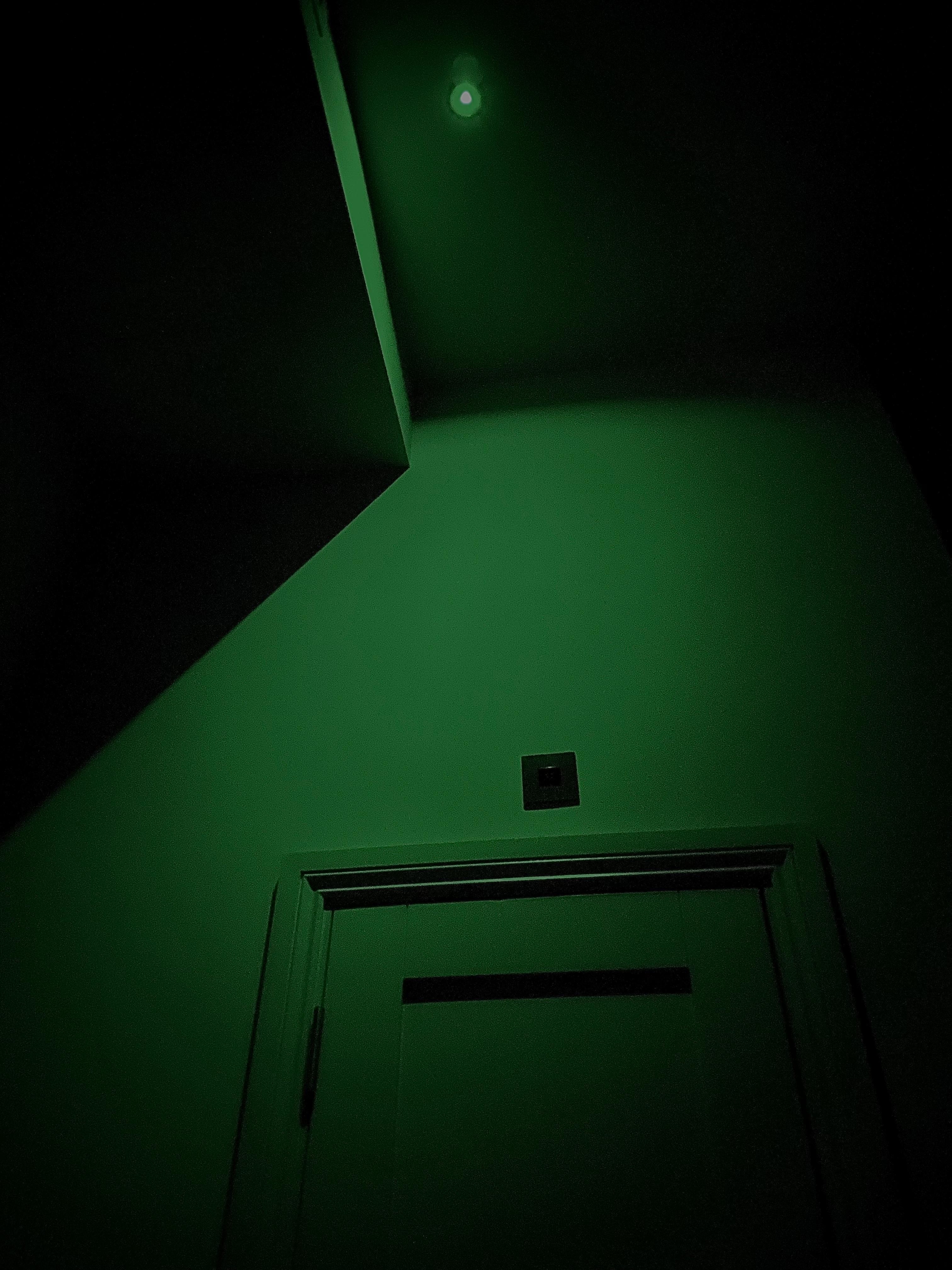 One of the dreaded night ceiling lights. The green glow!