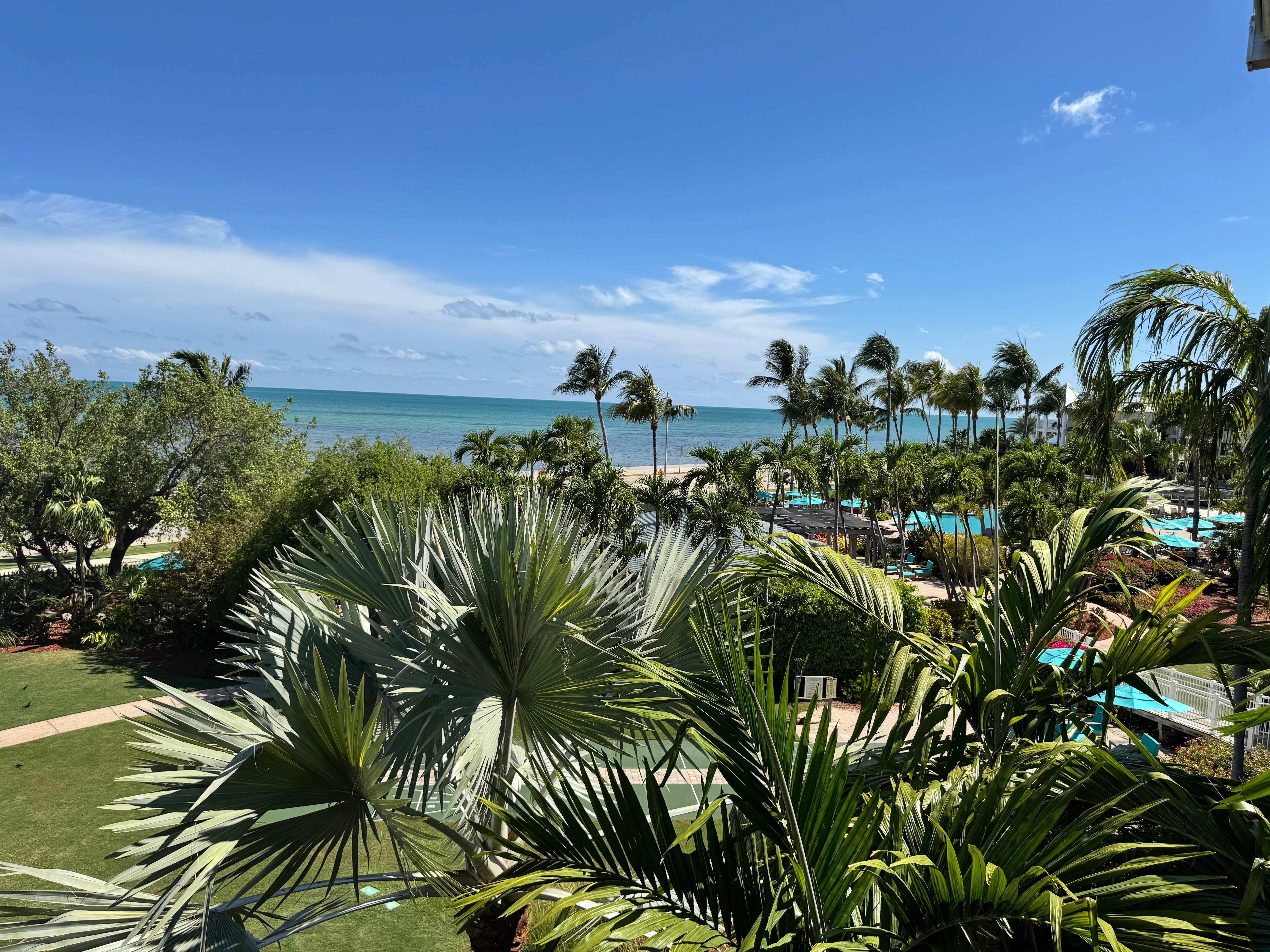 View from the rooms
