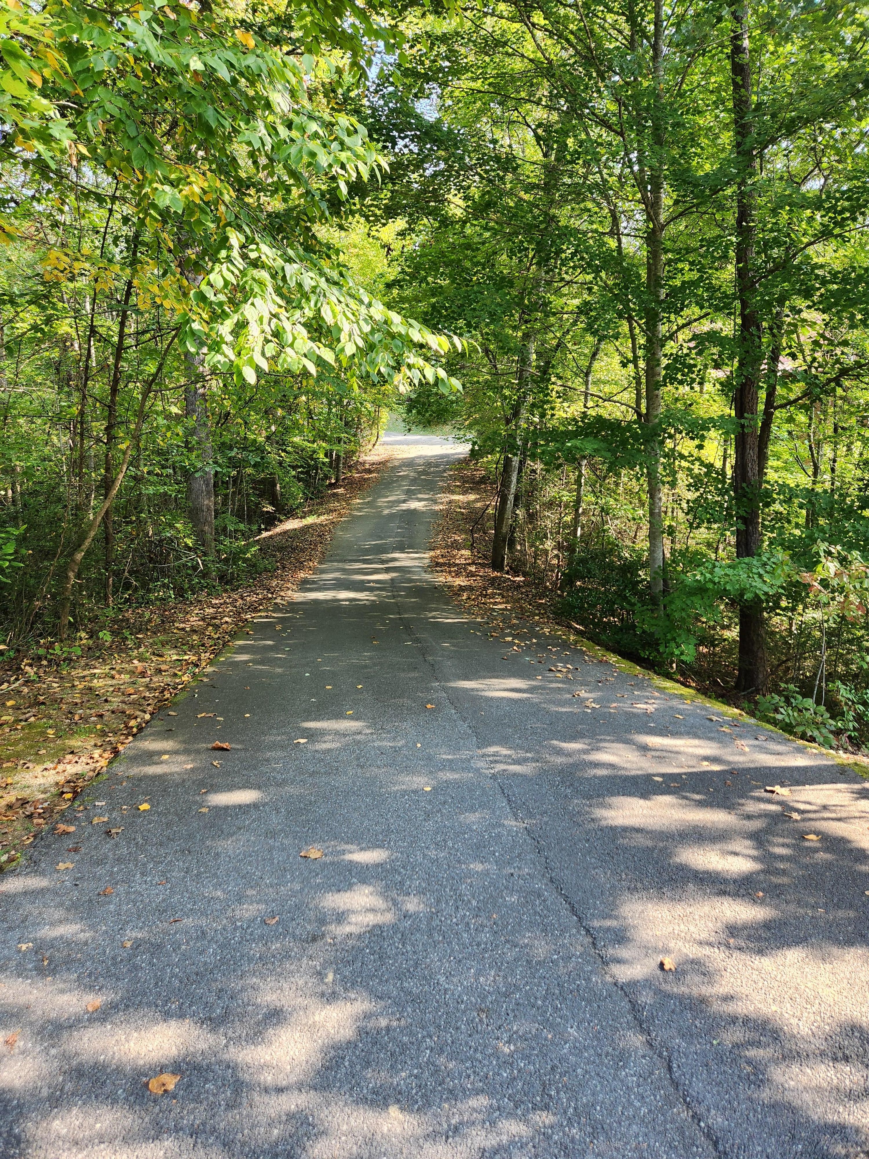 Yes - it was this beautiful