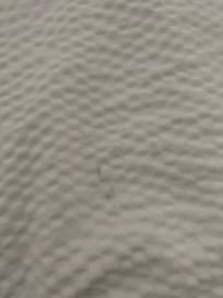 First Room Stains Mold?