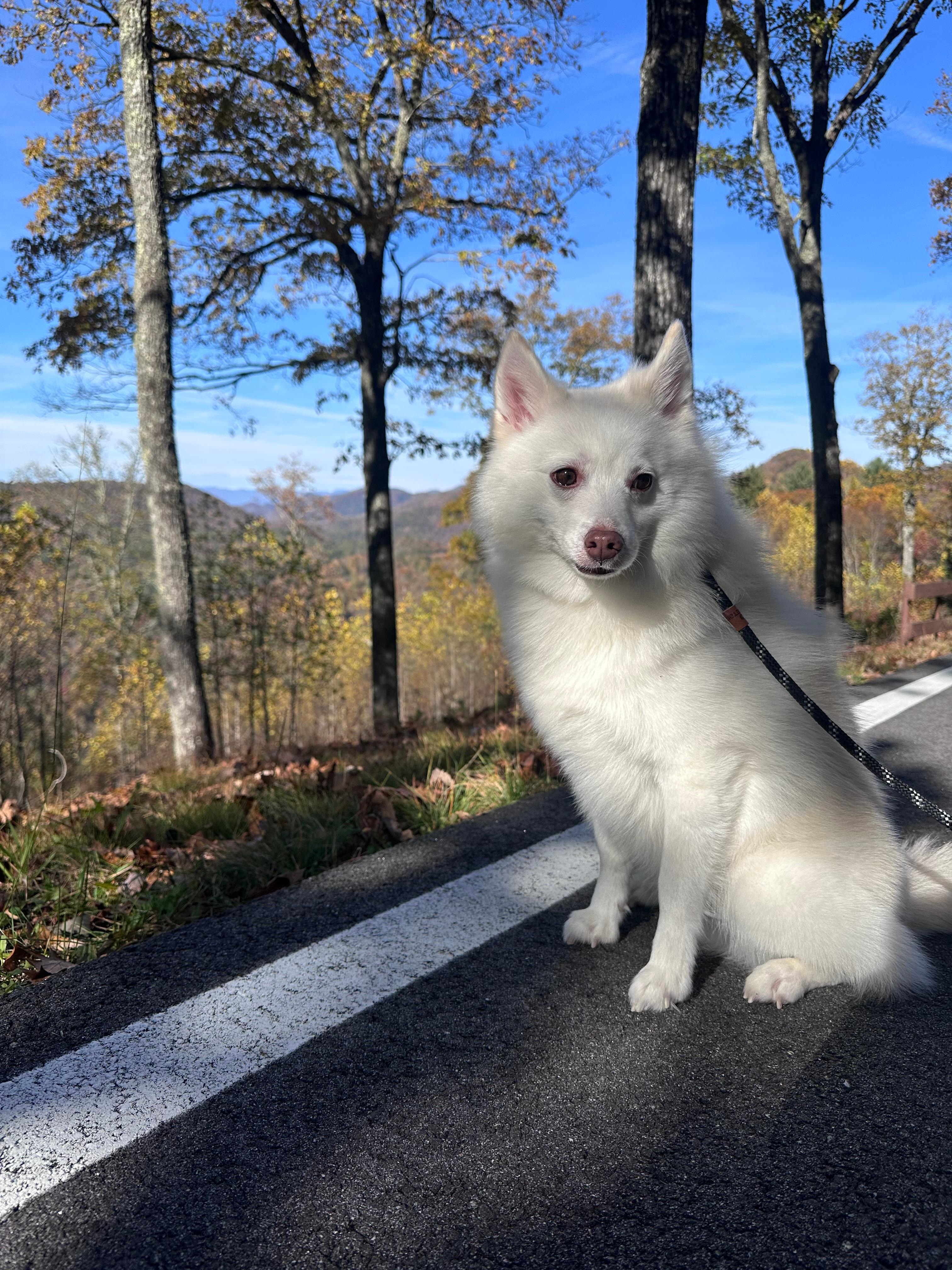 View from a short walk up the road