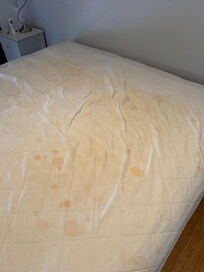 Main bedroom, mattress protector.