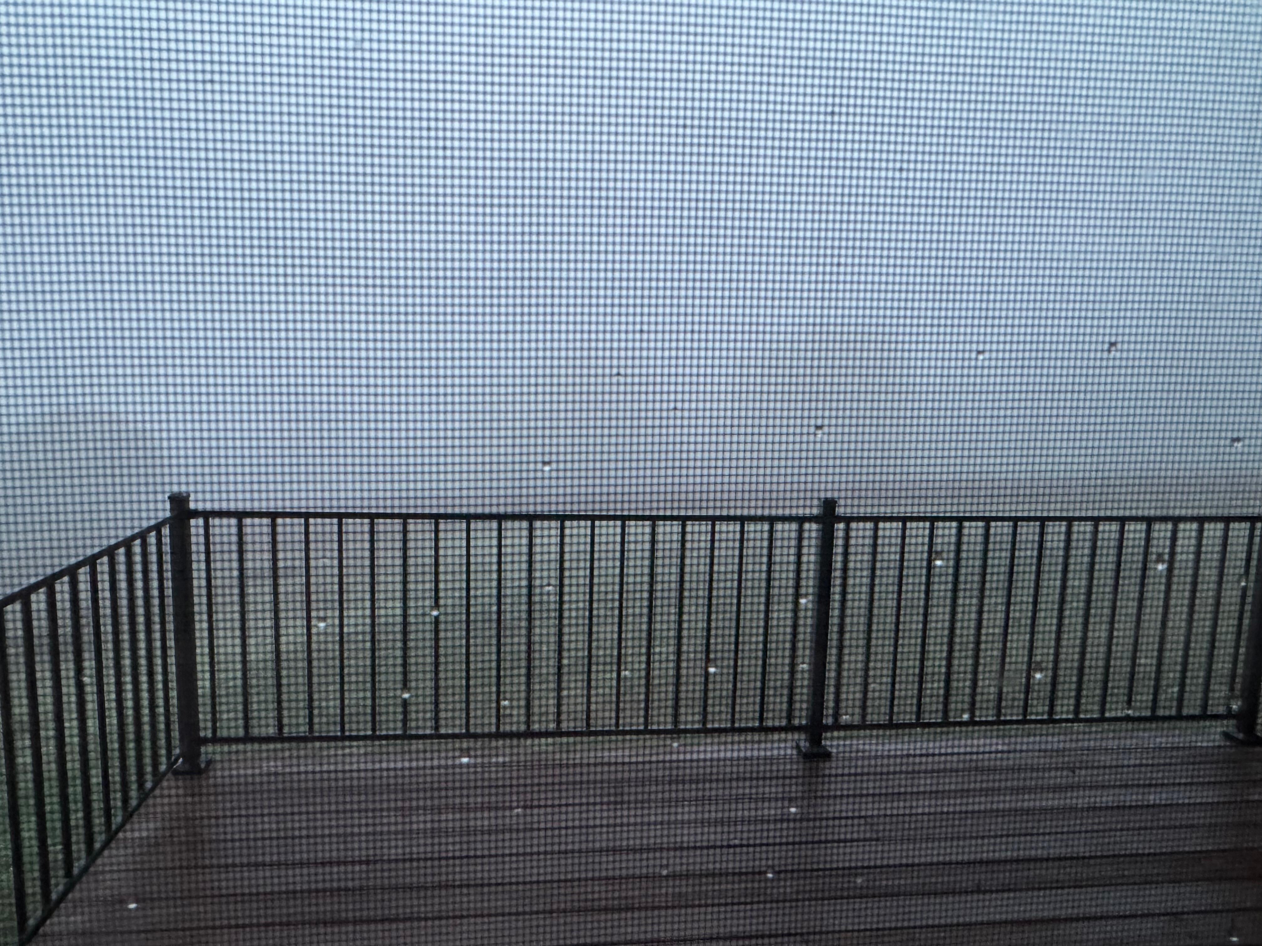 A little morning fog for the grapes