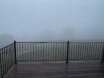 A little morning fog for the grapes