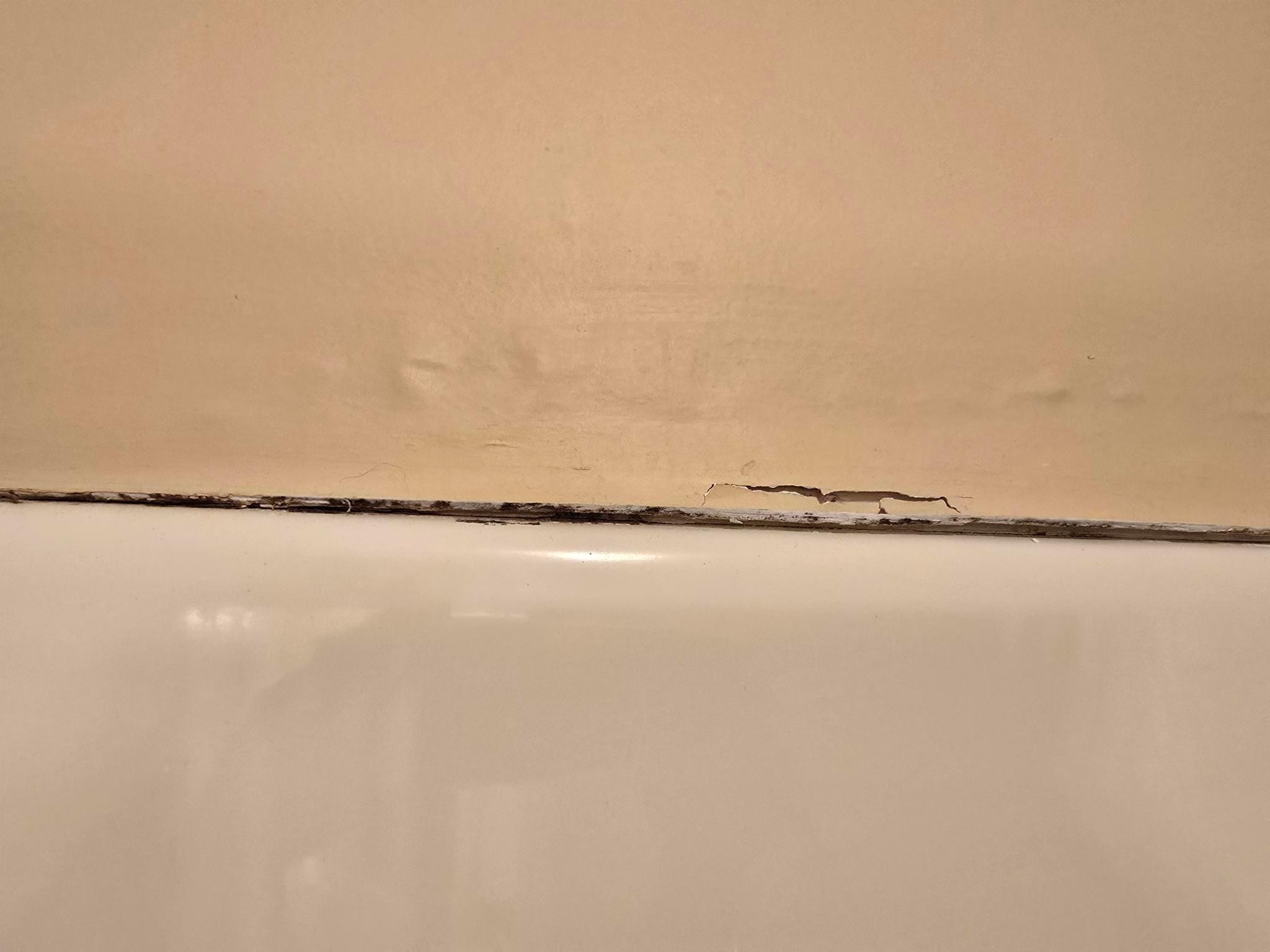 Mold and swollen walls/cracked paint around showers.