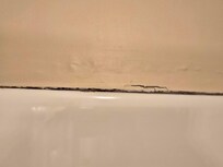 Mold and swollen walls/cracked paint around showers.