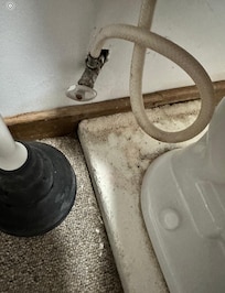 Guest bathroom