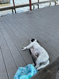 Relaxing to music 🎶 on the dock.