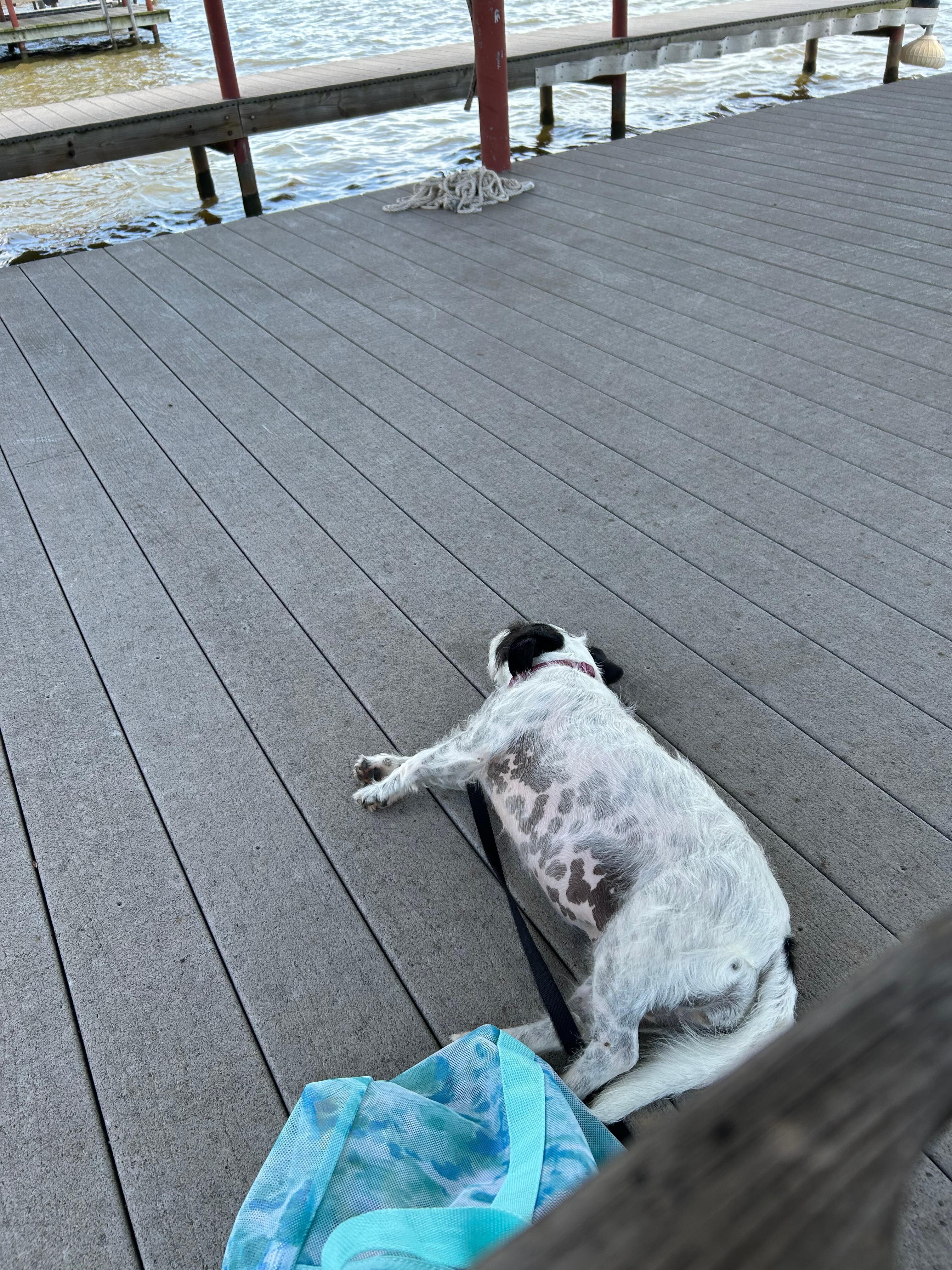 Relaxing to music 🎶 on the dock.