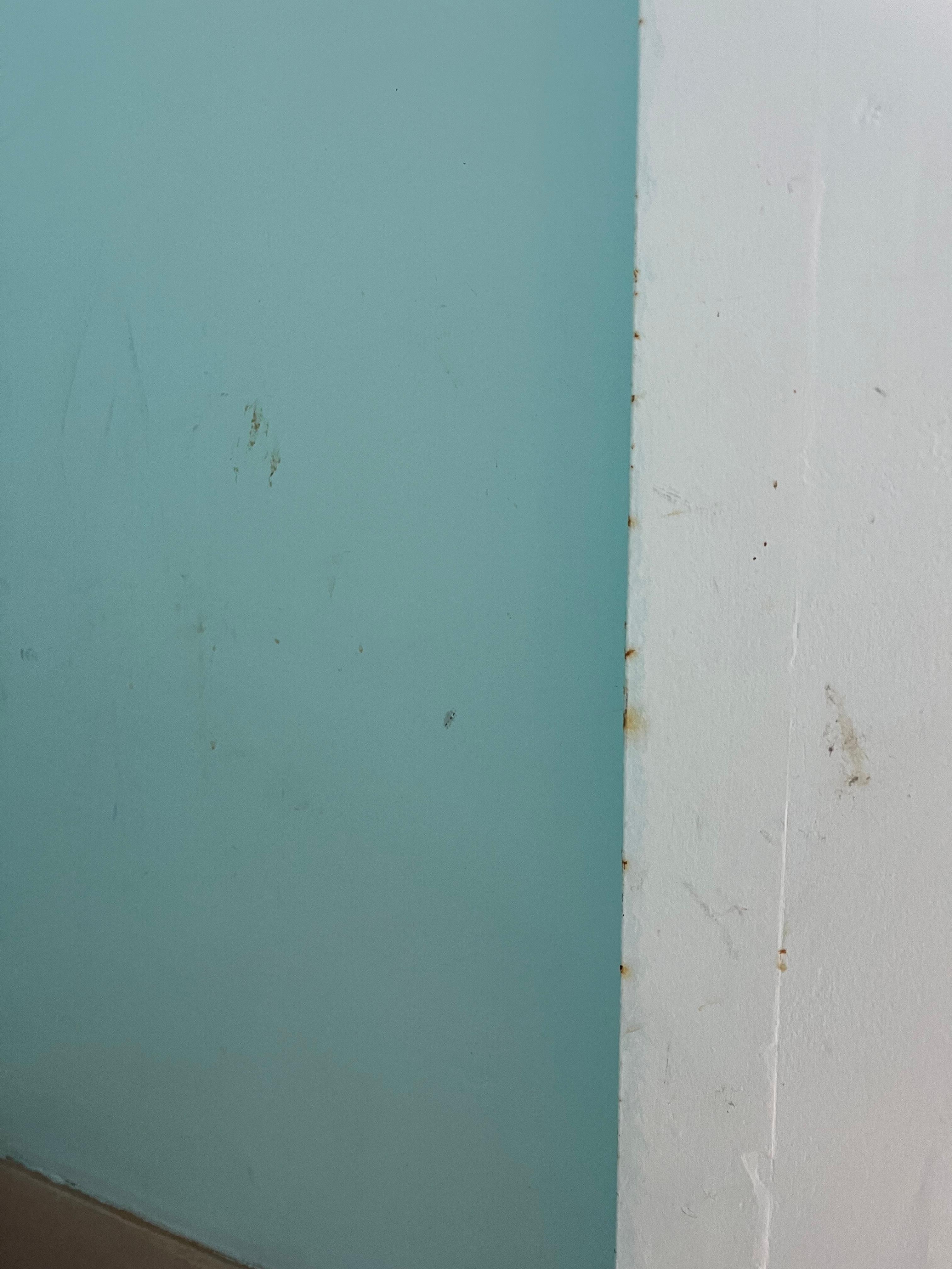 Disgusting filthy walls