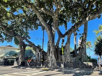 Downtown Kona