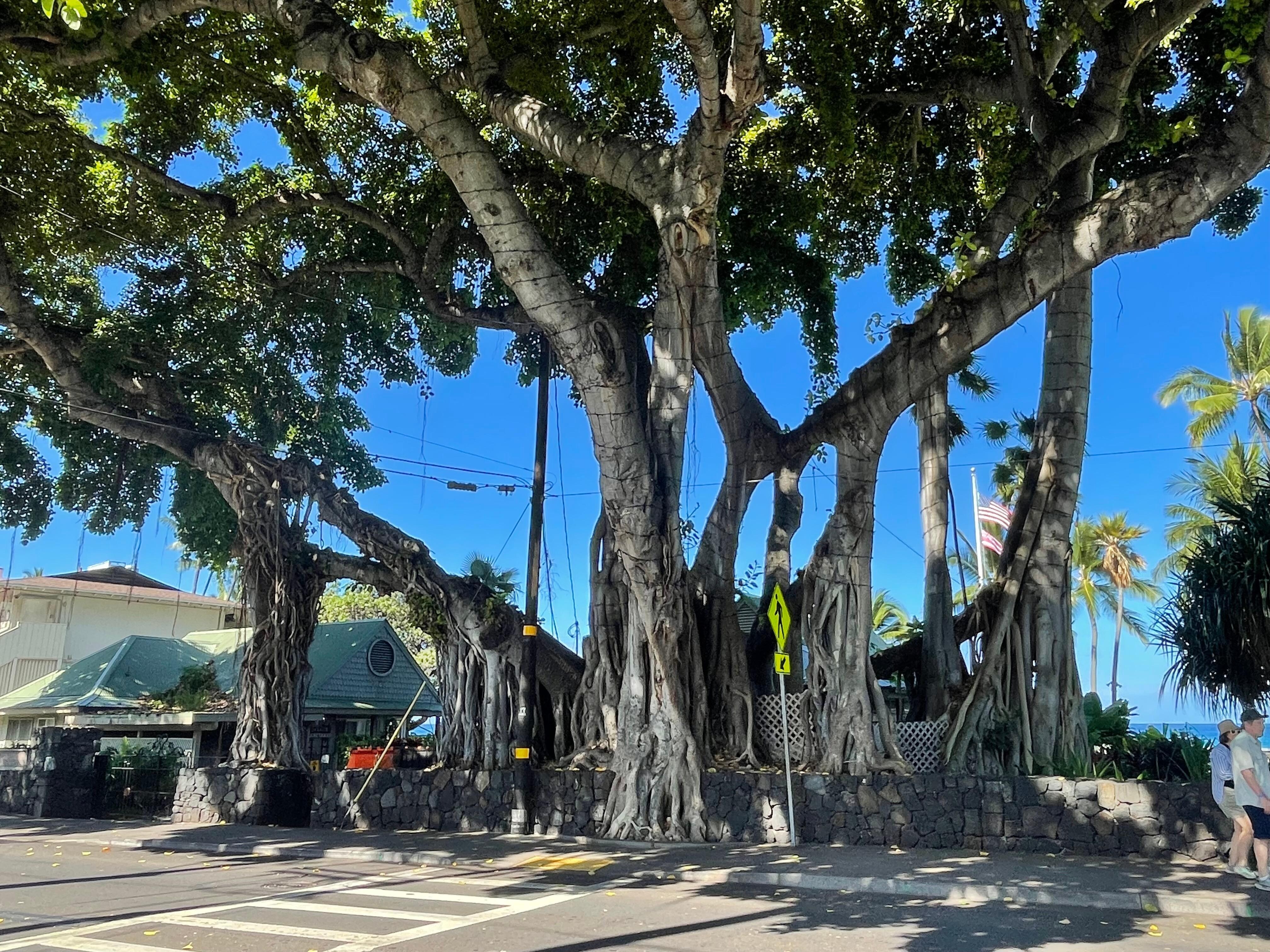 Downtown Kona