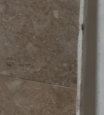 Roach 1