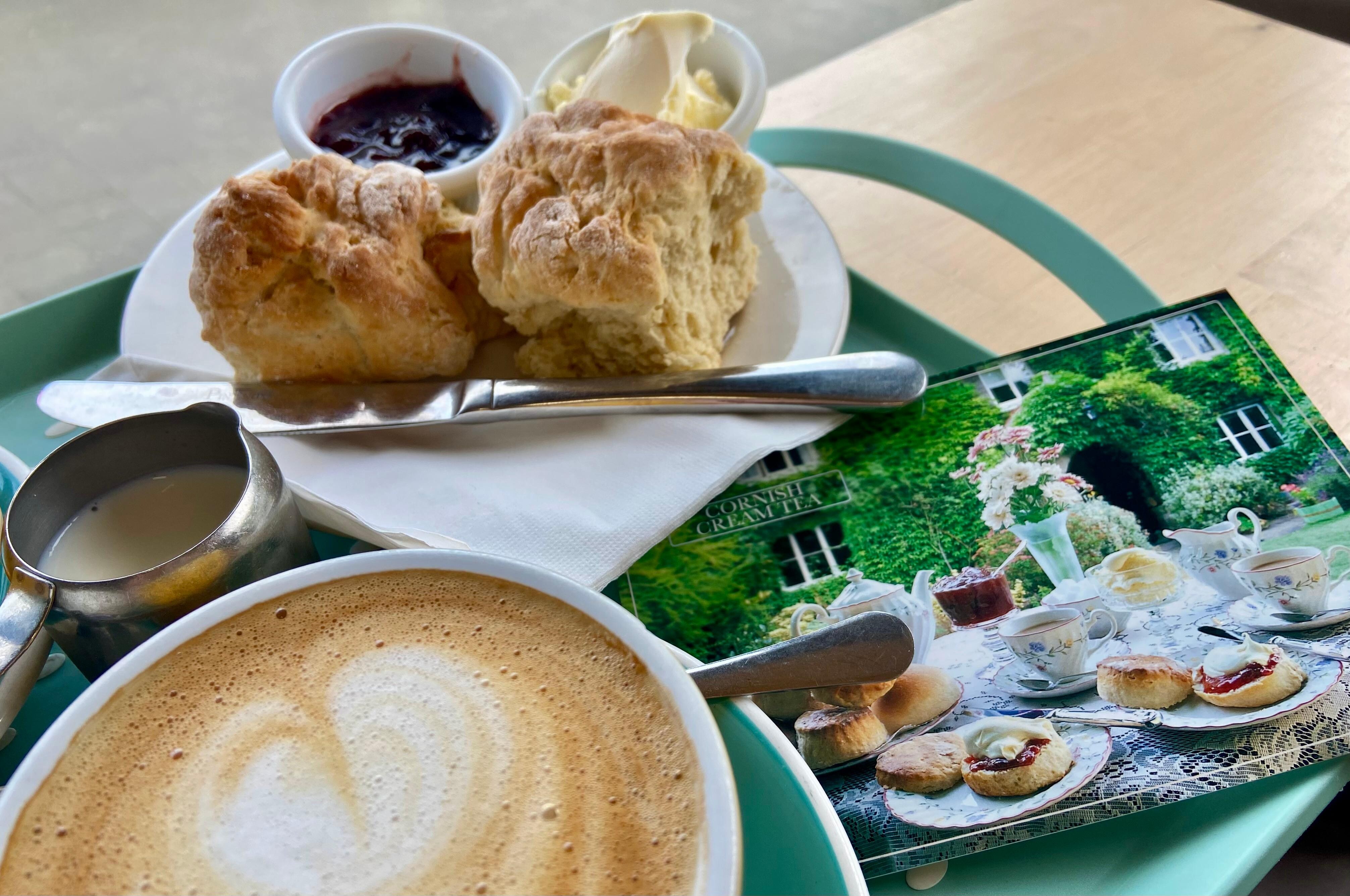 Best scone’s at local cafe Crackington Haven 