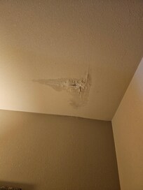 Leak in ceiling
