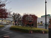 ้ง
ใฎๅๅฏพๅดใใ