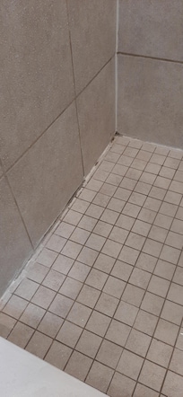Mold in shower