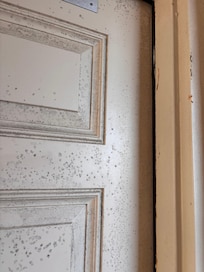 Room door covered in mold