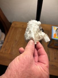 Dust and cobwebs from master bedroom wall