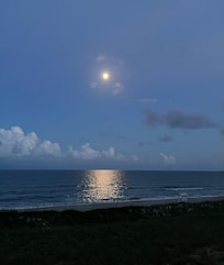 Moonlit nigjt