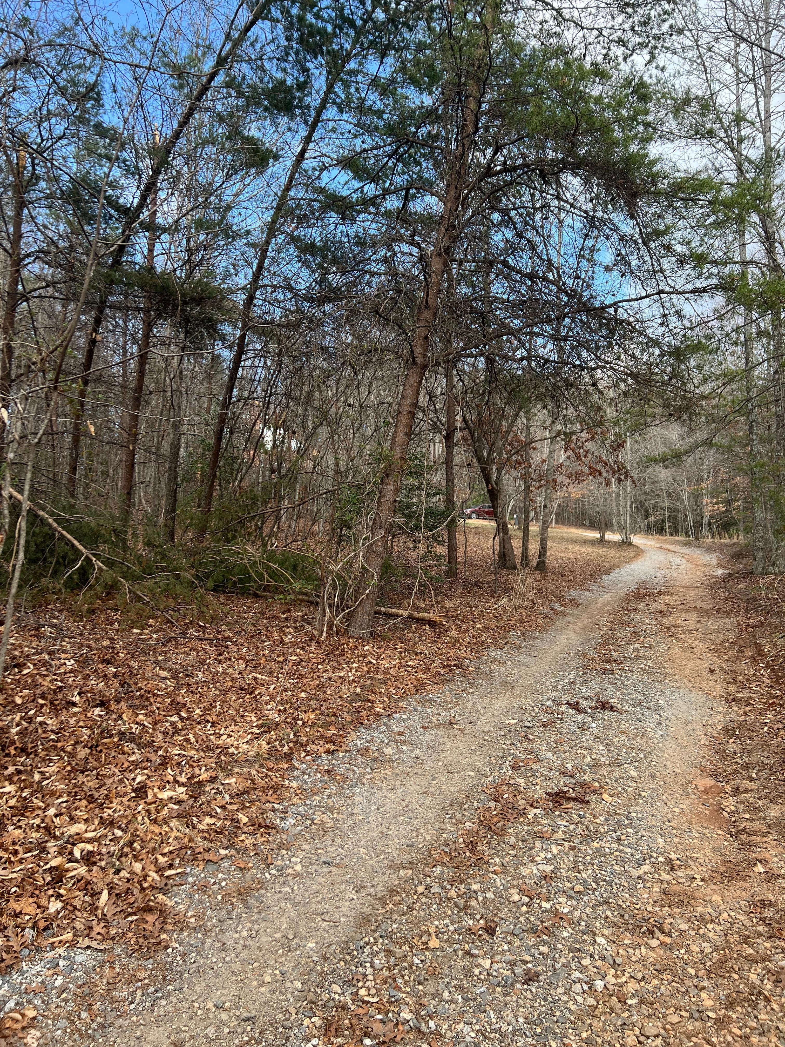 Last part of driveway up to the house
