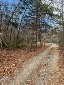 Last part of driveway up to the house
