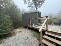 The site