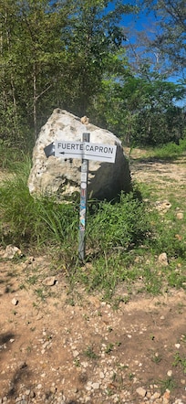 Bosque seco, camino al Fuerte Capón